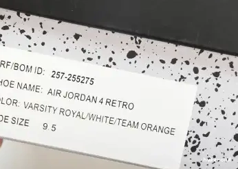 Hyperoad Jordan Retro PE